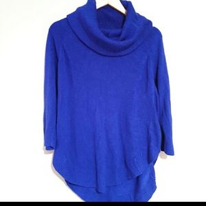 Adrienne Vitadini Blue Sweater